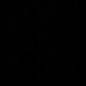 Meet your Posher, Ripp